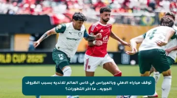 توقف مباراة الأهلي وبالميراس في كأس العالم للأندية بسبب الظروف الجوية.. ما آخر التطورات؟